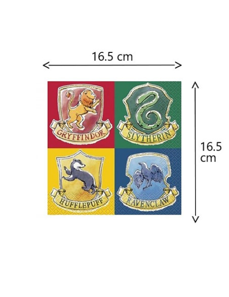 Harry Potter Set festa Super risparmio